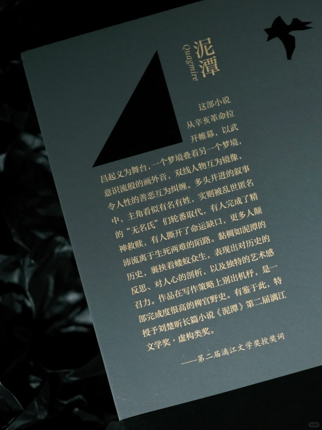 漓江文学奖获奖作品《泥潭》，刘楚昕亲签版。