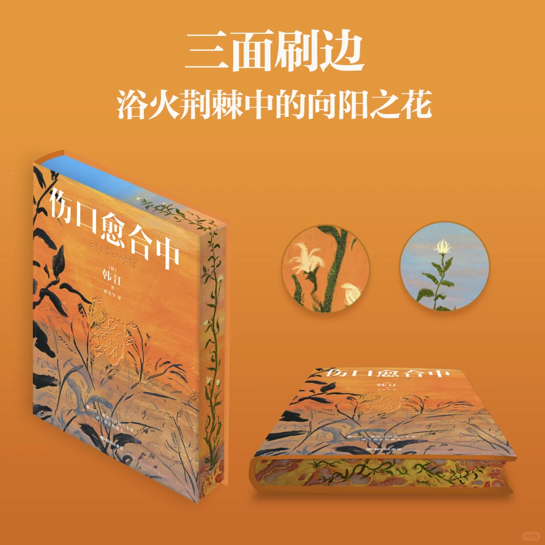 送韩江新书🙌《伤口愈合中》独家刷边来啦