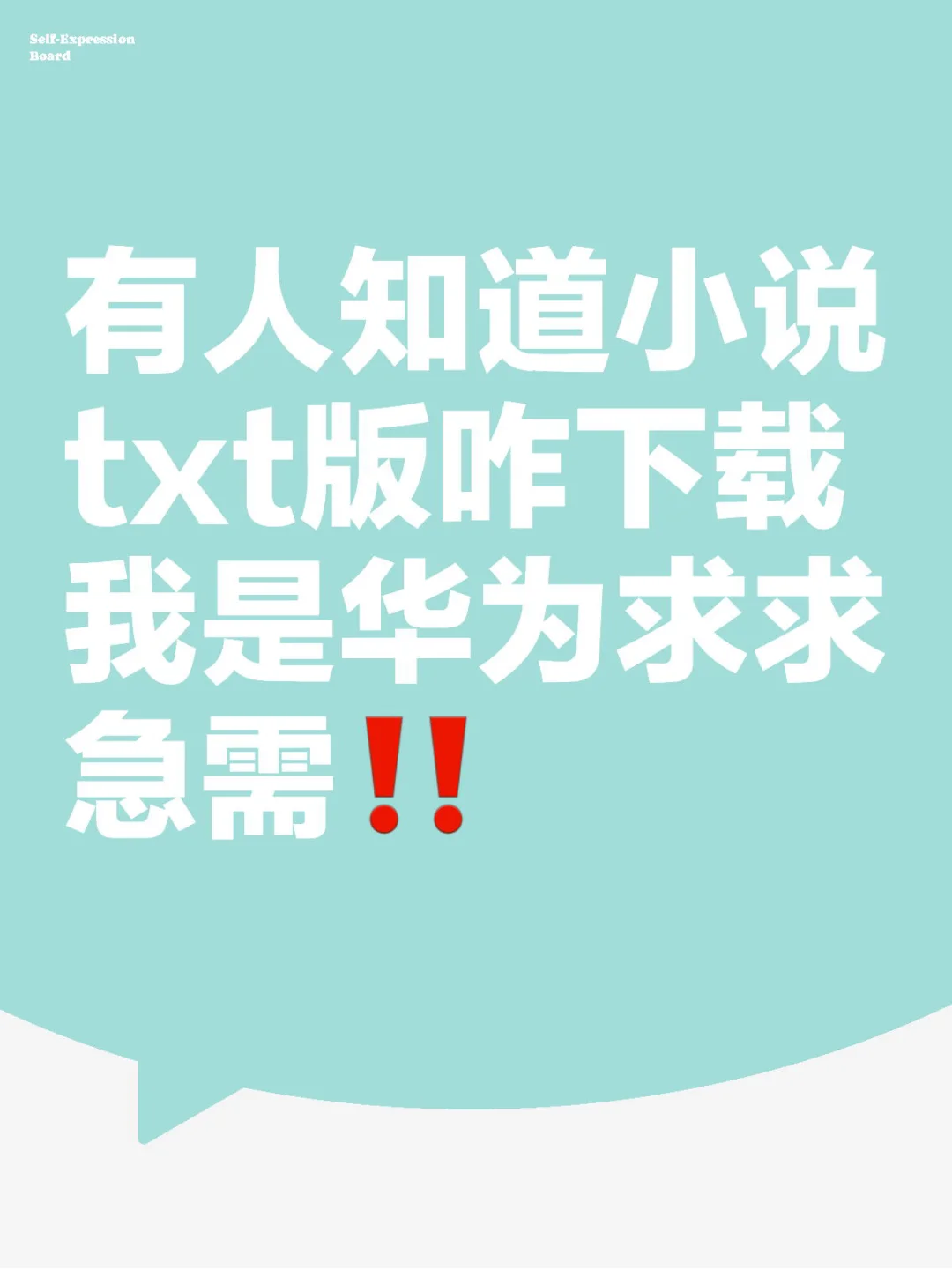 txt版怎么弄求求！