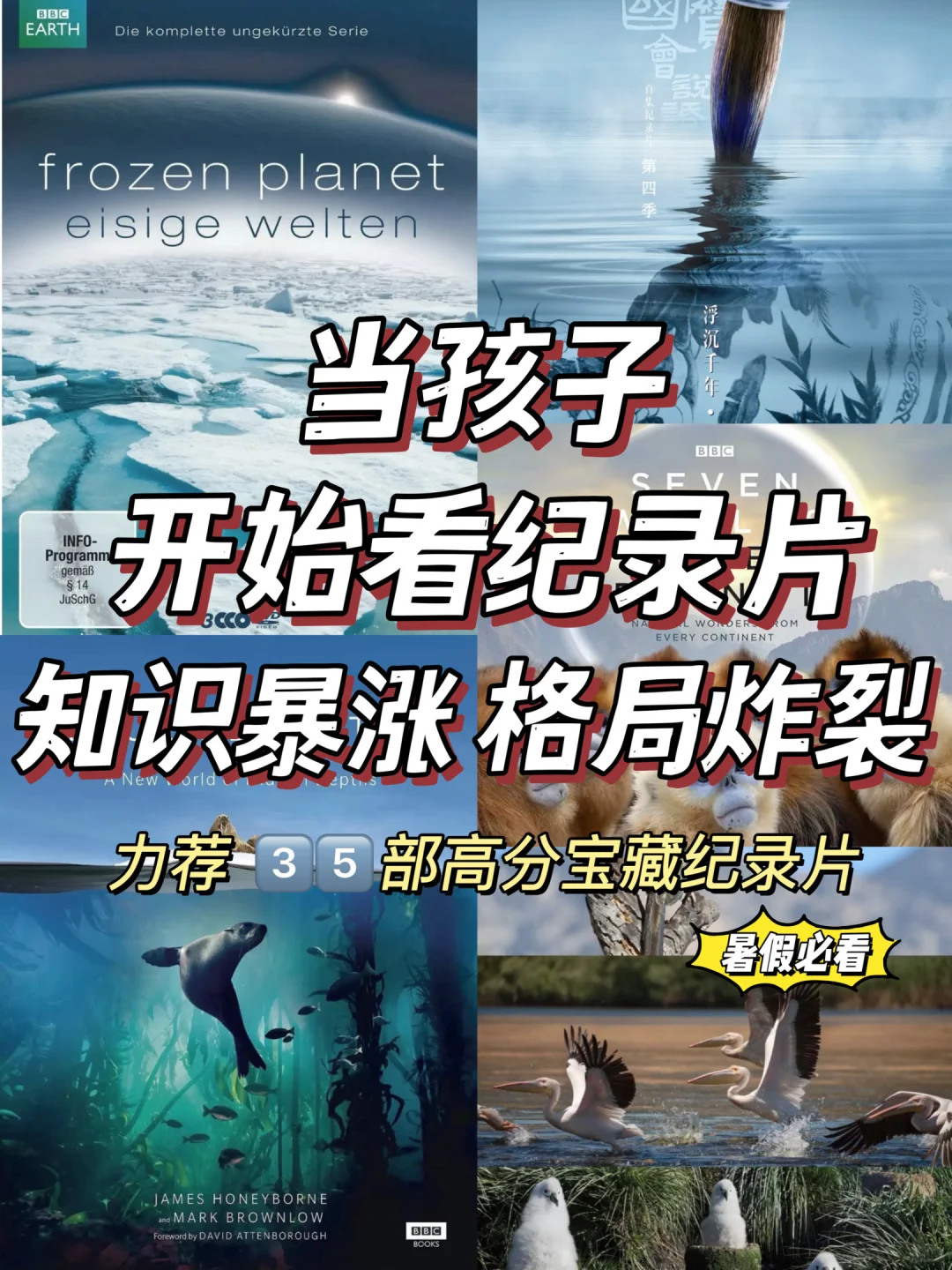 央视力荐35部高分全科纪录片，3-12岁必看