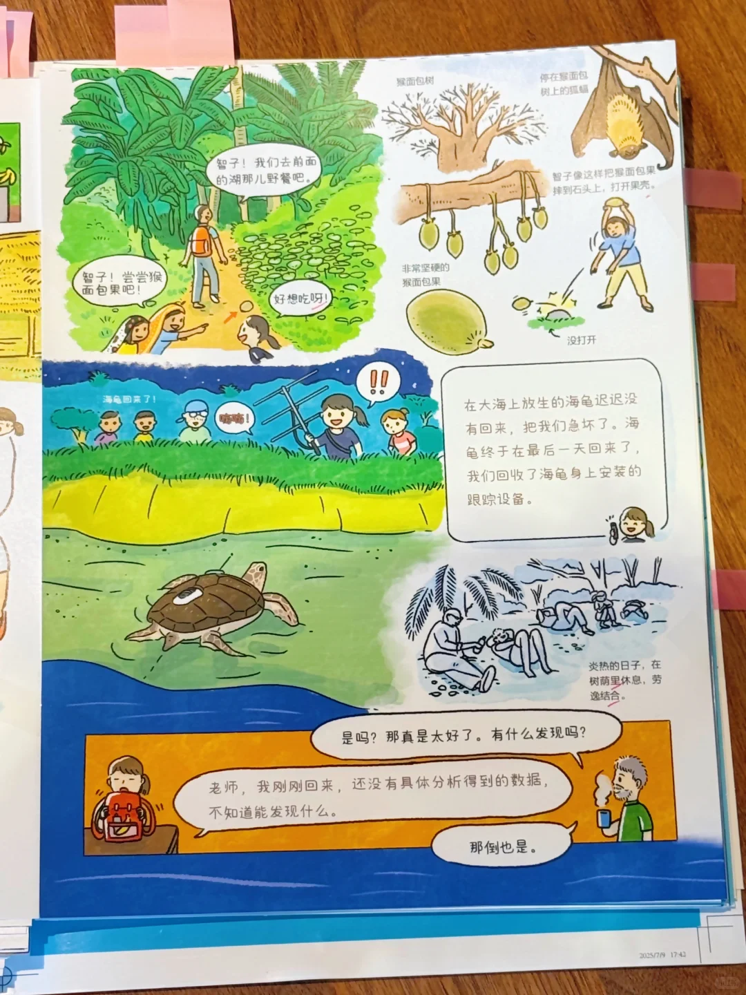 天🤯 这套科普完全已经next level了❕❗️