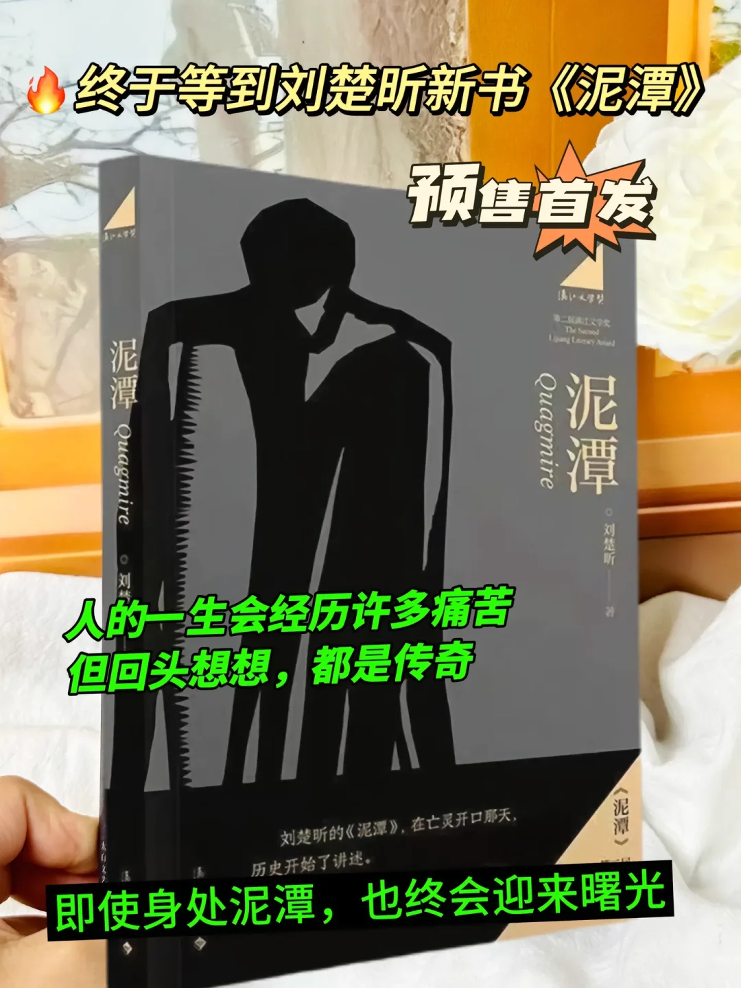 第二届漓江文学奖，虚构类获奖作品《泥潭》