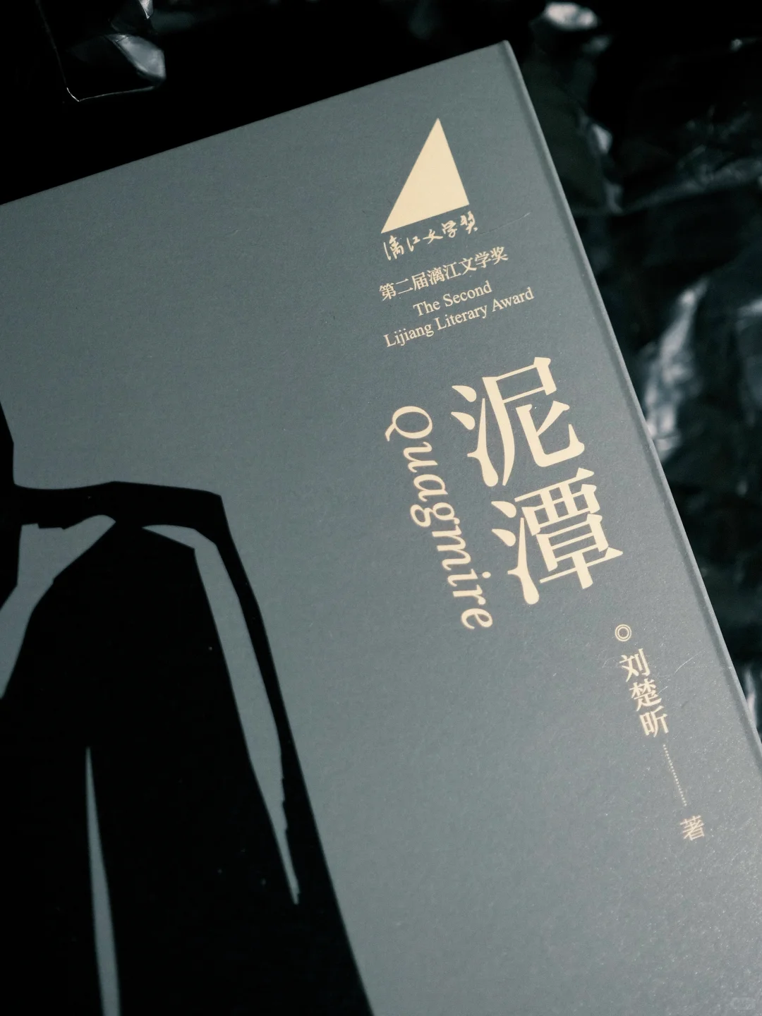 漓江文学奖获奖作品《泥潭》，刘楚昕亲签版。