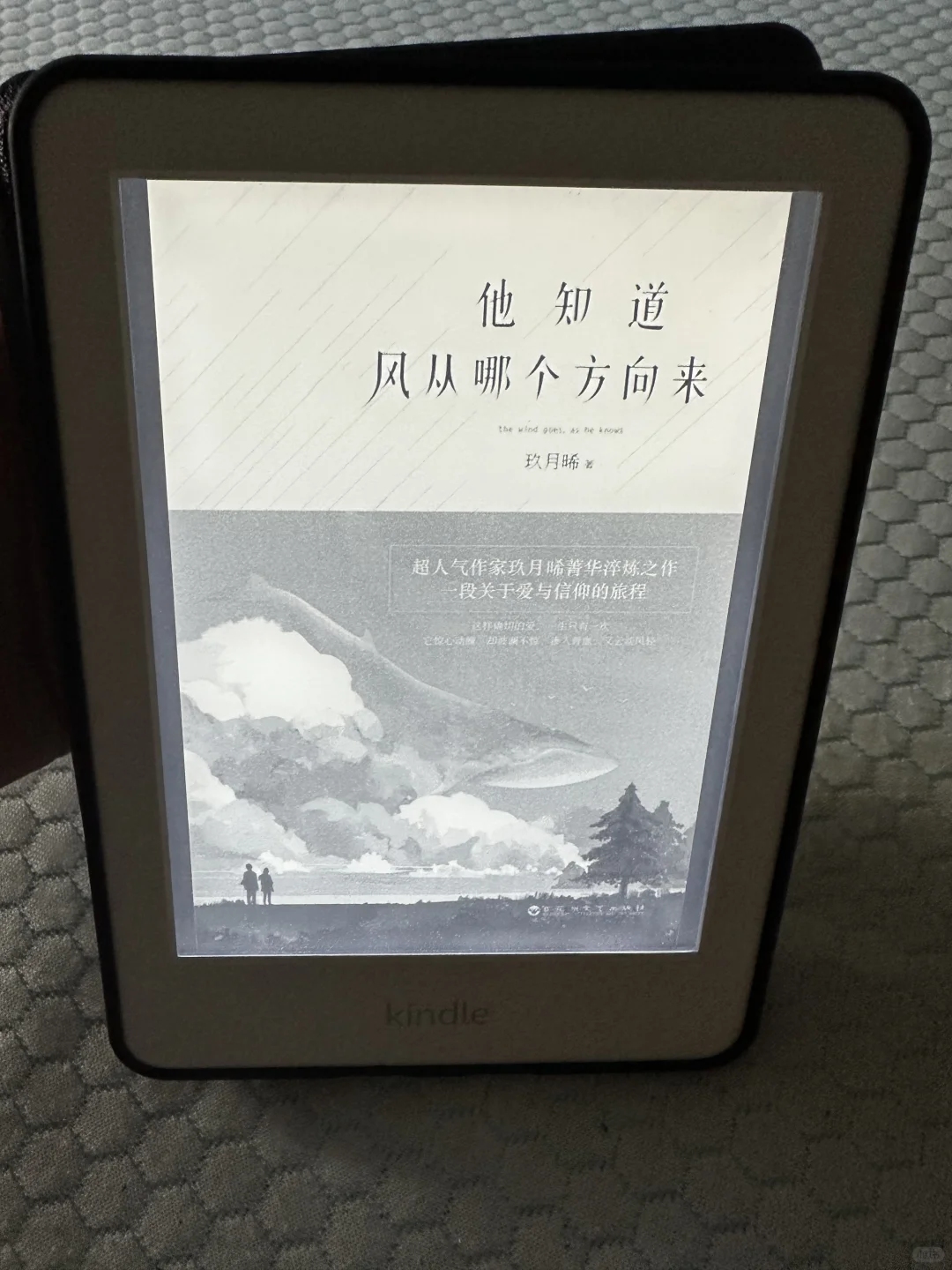➗kindle 杭州出一个kindle10代青春版