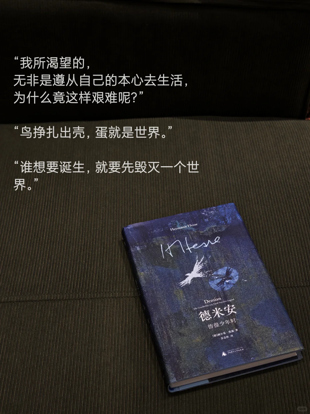 发现一套小众 但绝美的！新版黑塞～
