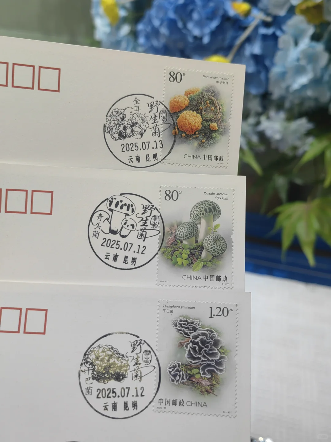 草木有本心｜曾孝濂博物绘画精选