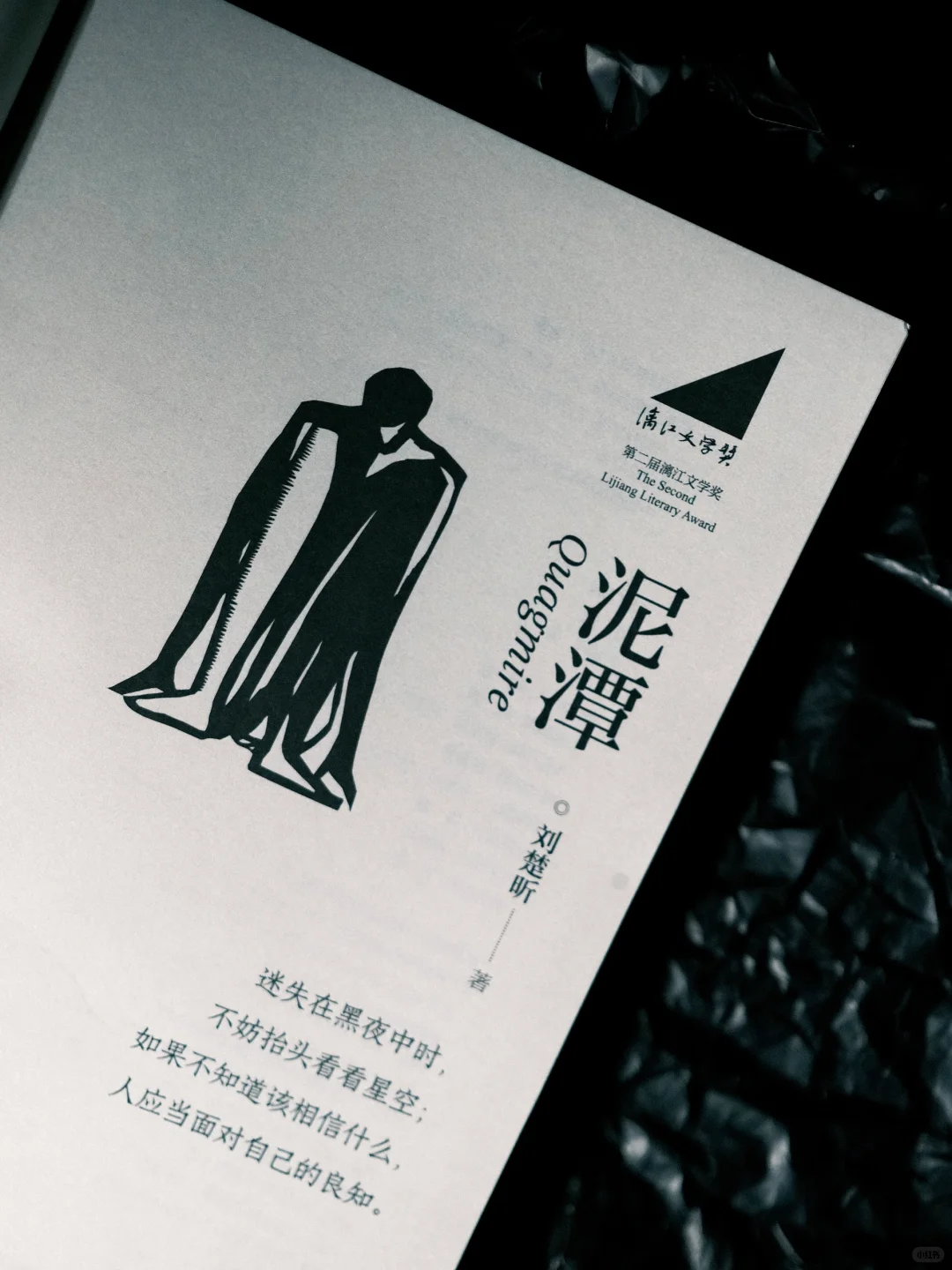 漓江文学奖获奖作品《泥潭》，刘楚昕亲签版。