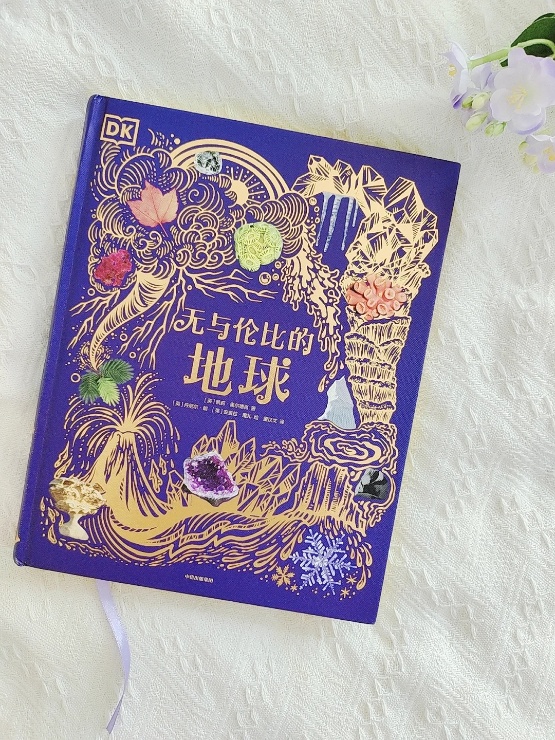 小学生暑假必看！高质量书单来啦‼️