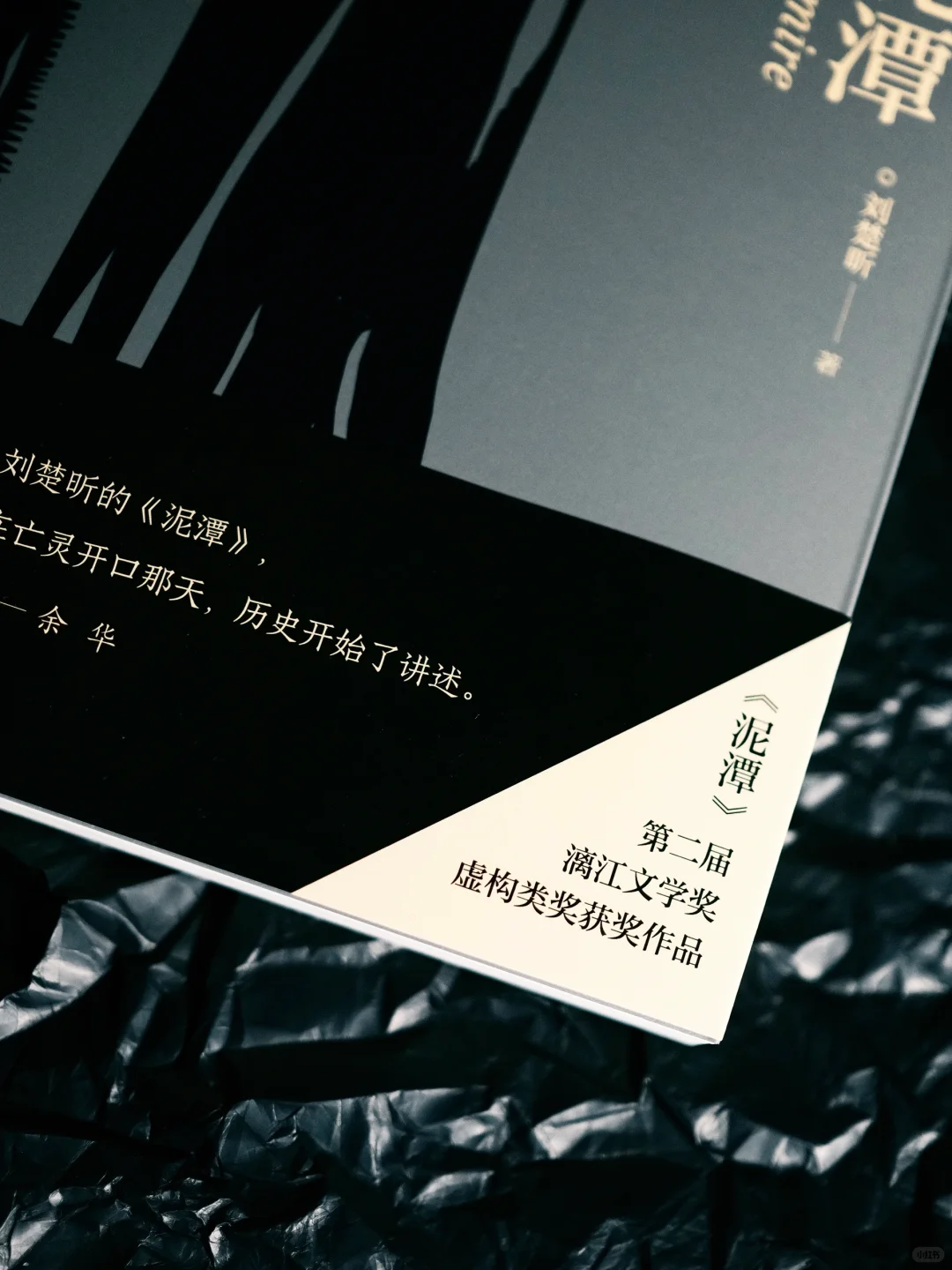漓江文学奖获奖作品《泥潭》，刘楚昕亲签版。