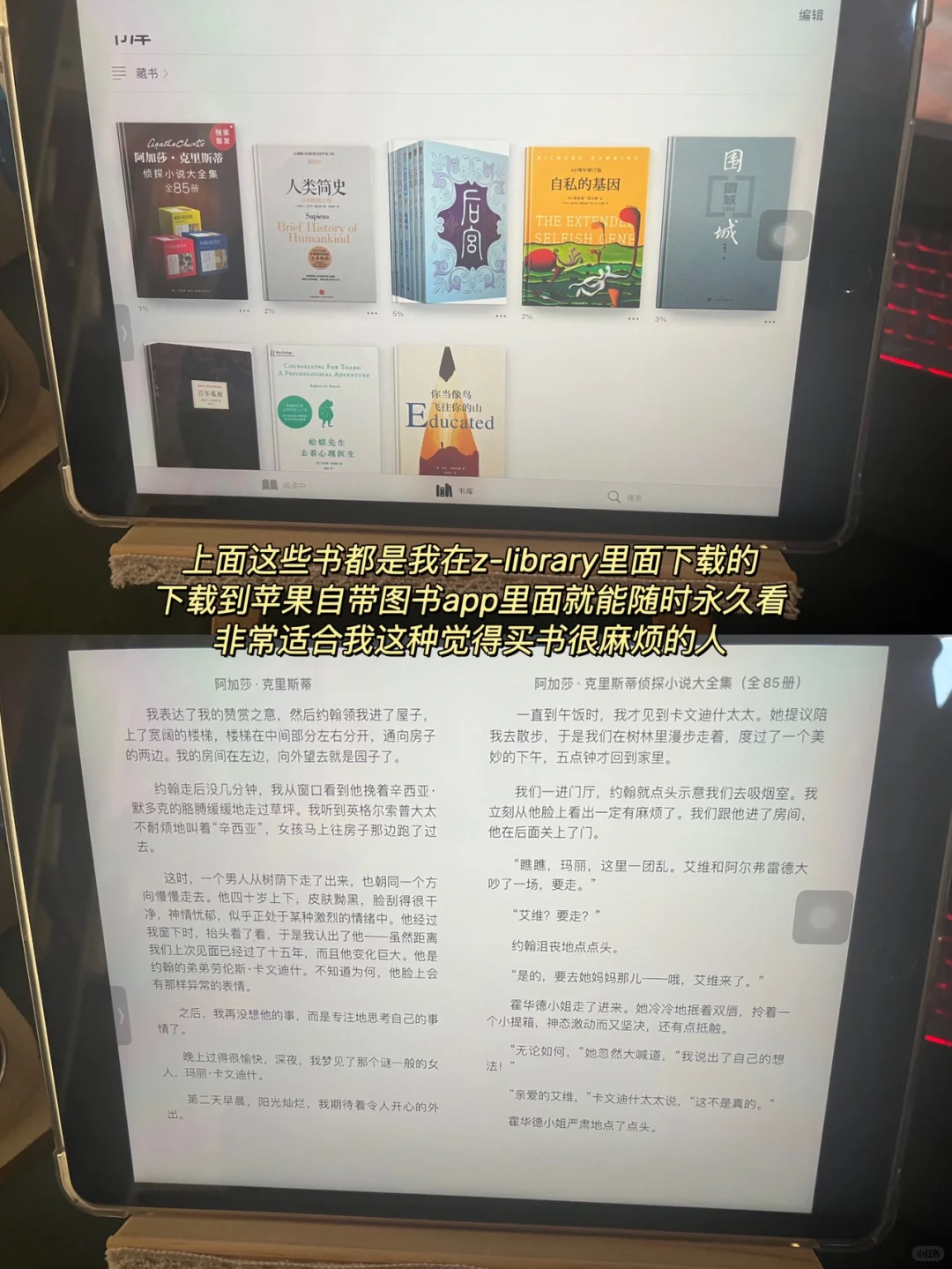 🔥满足你所有电子书需求｜z-library与图书