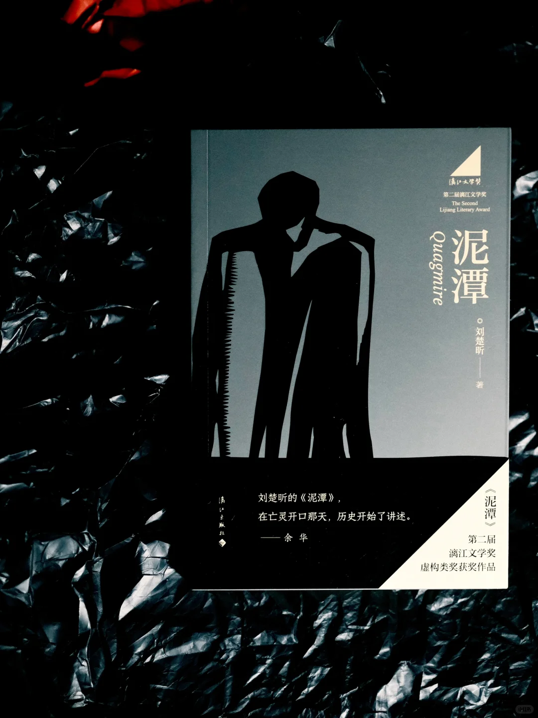 漓江文学奖获奖作品《泥潭》，刘楚昕亲签版。