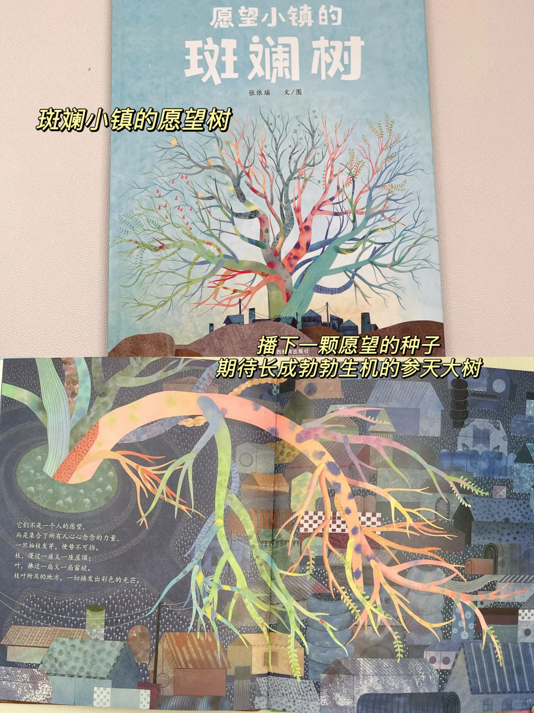 幼儿园大班男娃-2024年度书单🏆中文绘本
