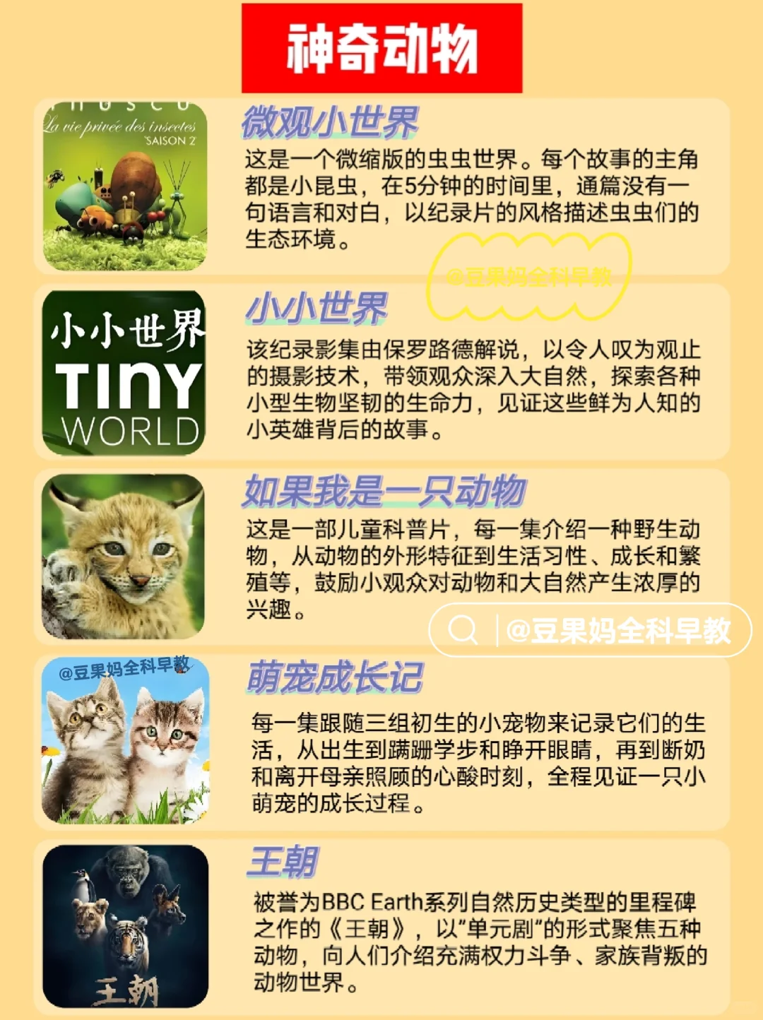 暑假必看❗央视力荐🔥30部儿童精选纪录片