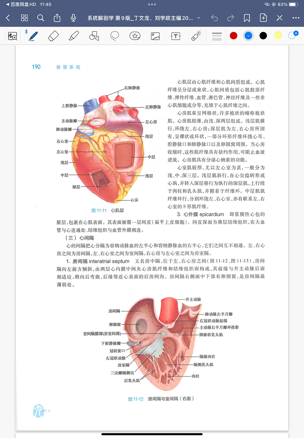 人卫第九版53本医学教材高清pdf 秒发