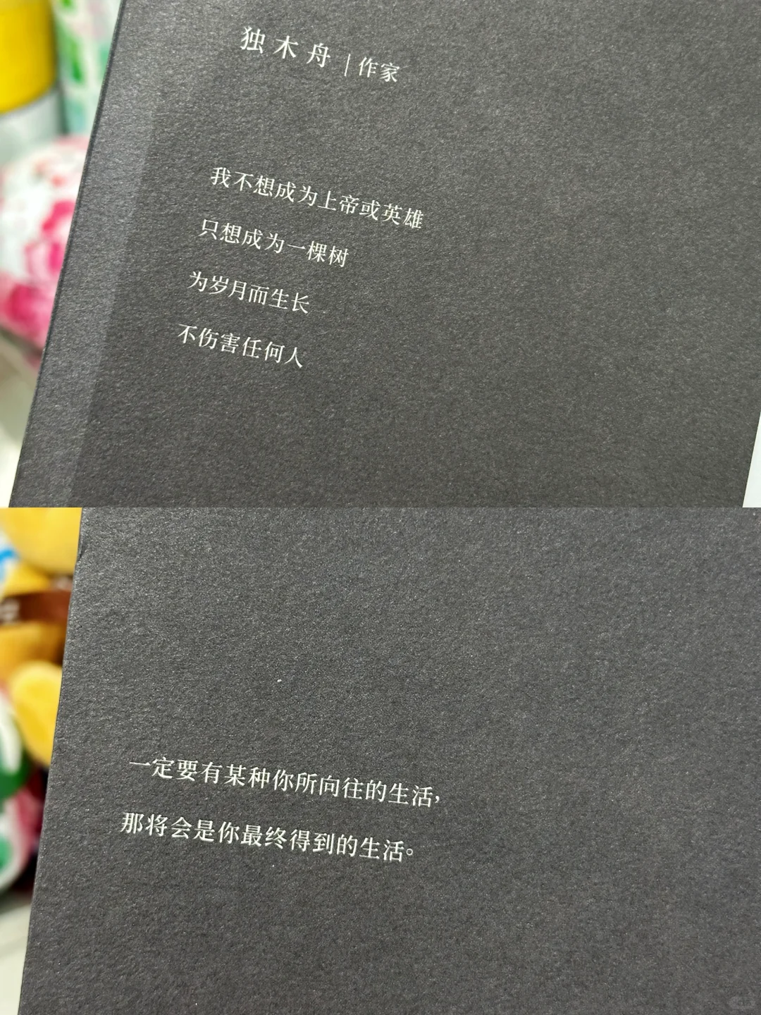 天呐！独木舟的新书真的好好哭！！