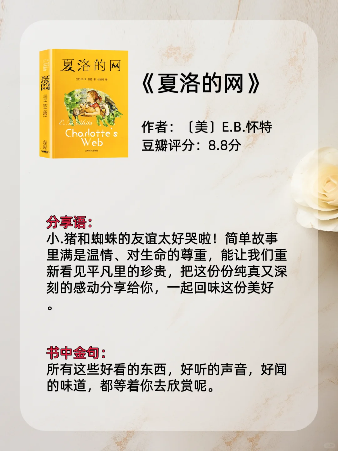 8本提升幸福感的轻松小书✨