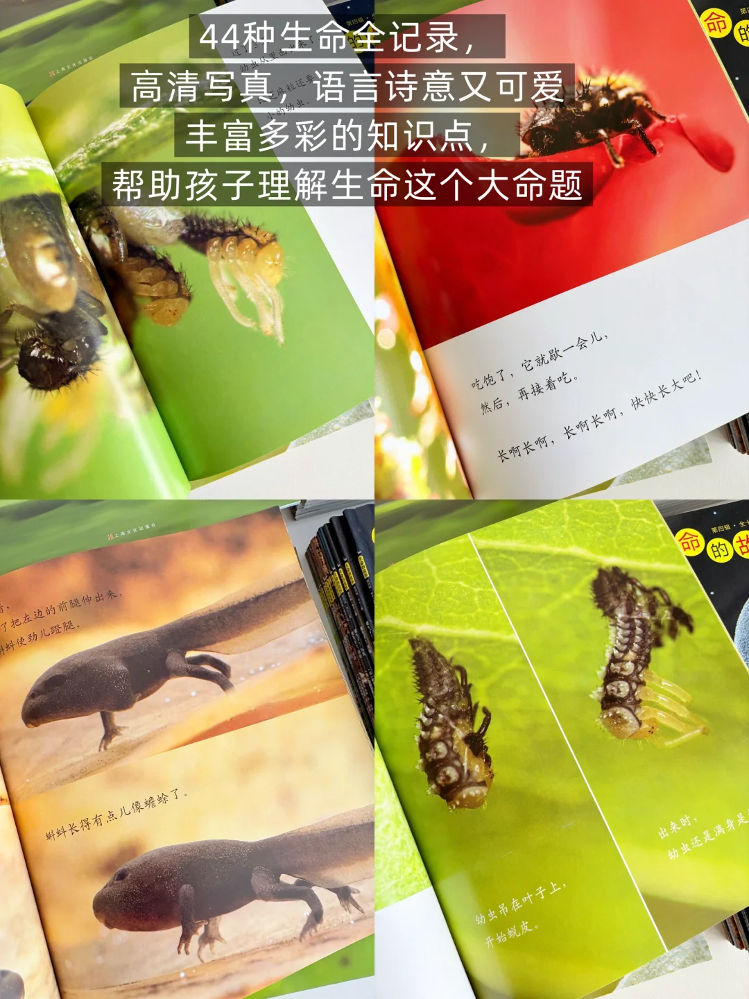 小学生暑假阅读书单来啦，码住！