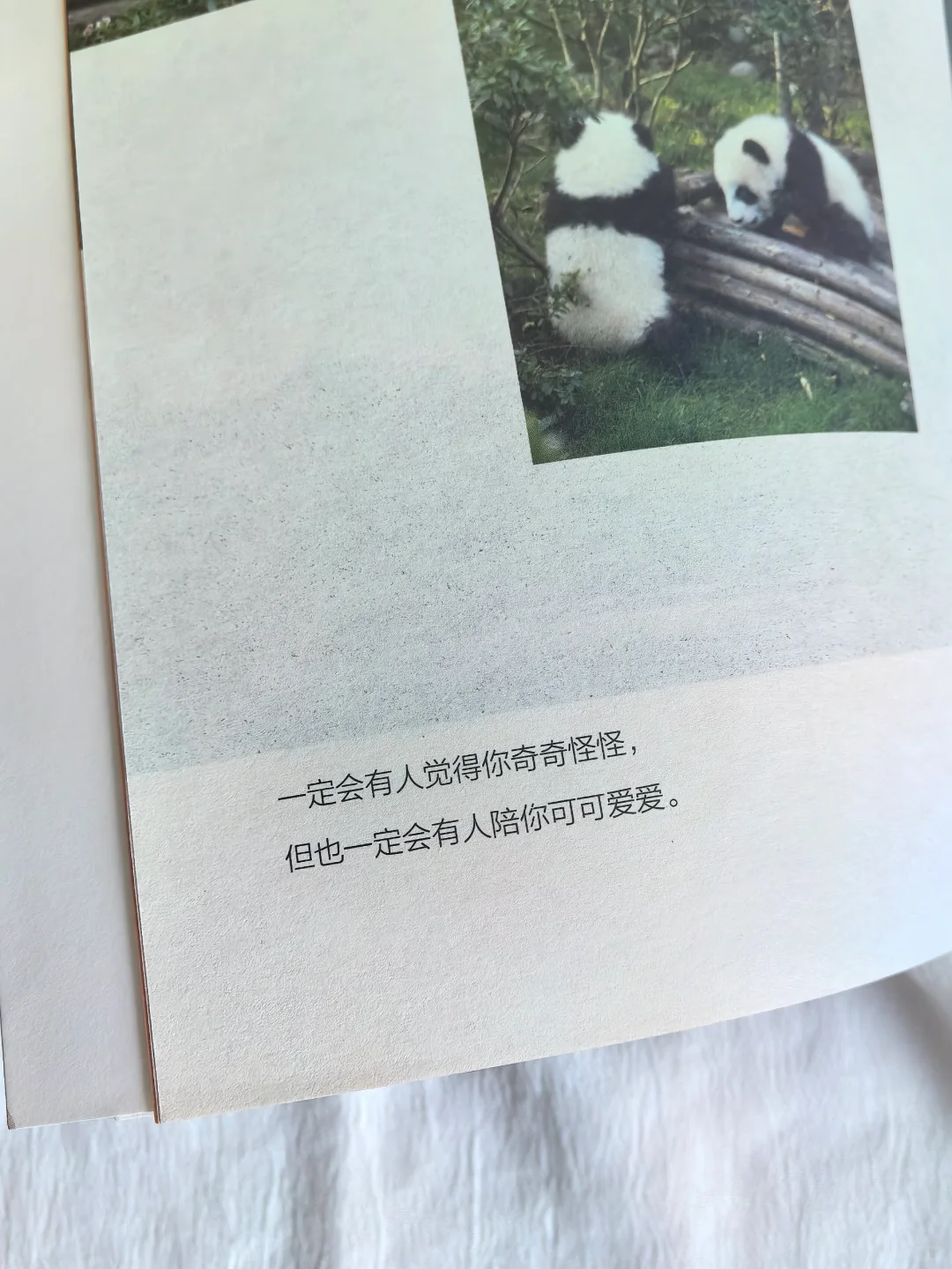 超治愈💕被这本书救赎了千万次❗️