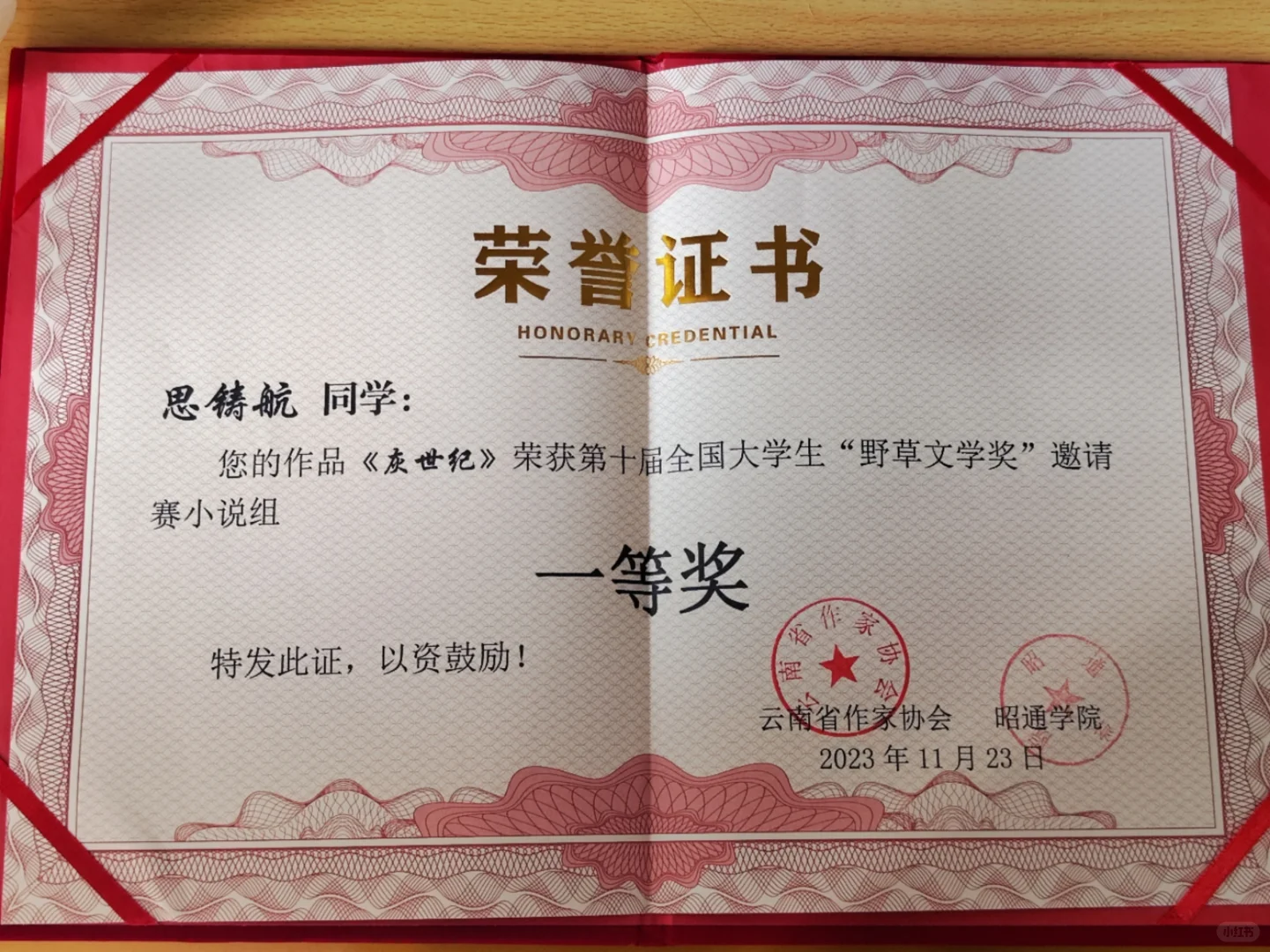 高二时写的小说拿了野草文学奖一等奖🔅