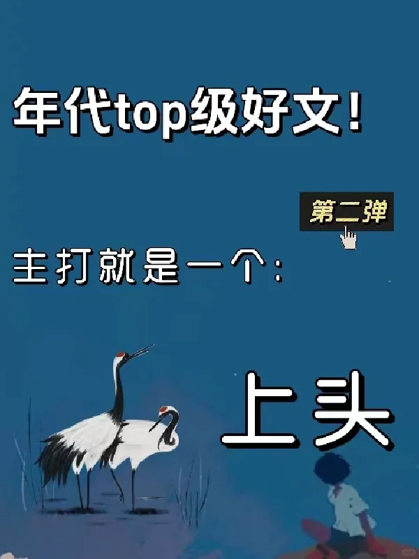 5本年代top文安利，不好看不上头来找我！