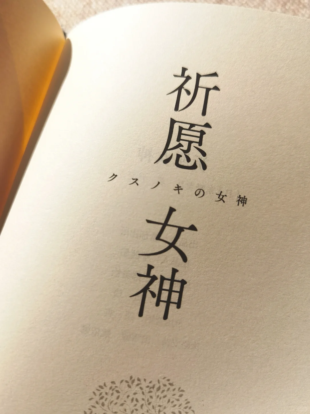 看哭了❗️东野圭吾新书没让我失望😭