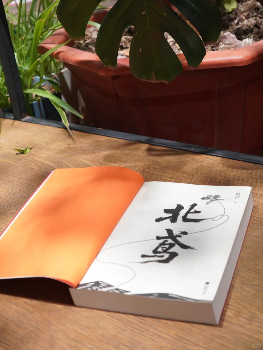 限量亲签❗️葛亮《北鸢》正式上线❗️