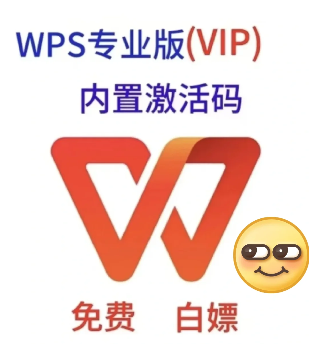 来咯来咯，wps专业版内激活码！！