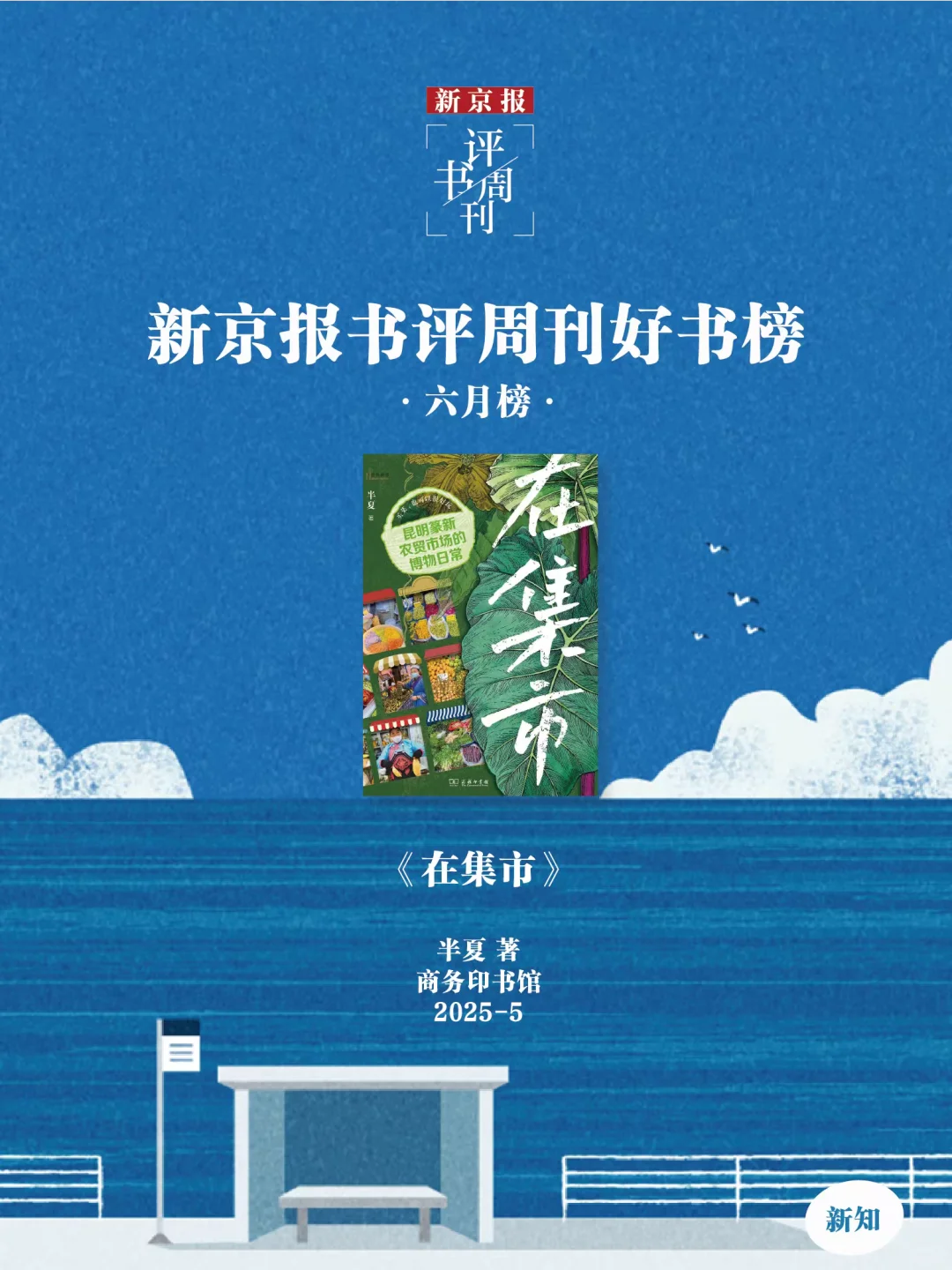 夏日书单｜6月，最值得看的16本新书📚