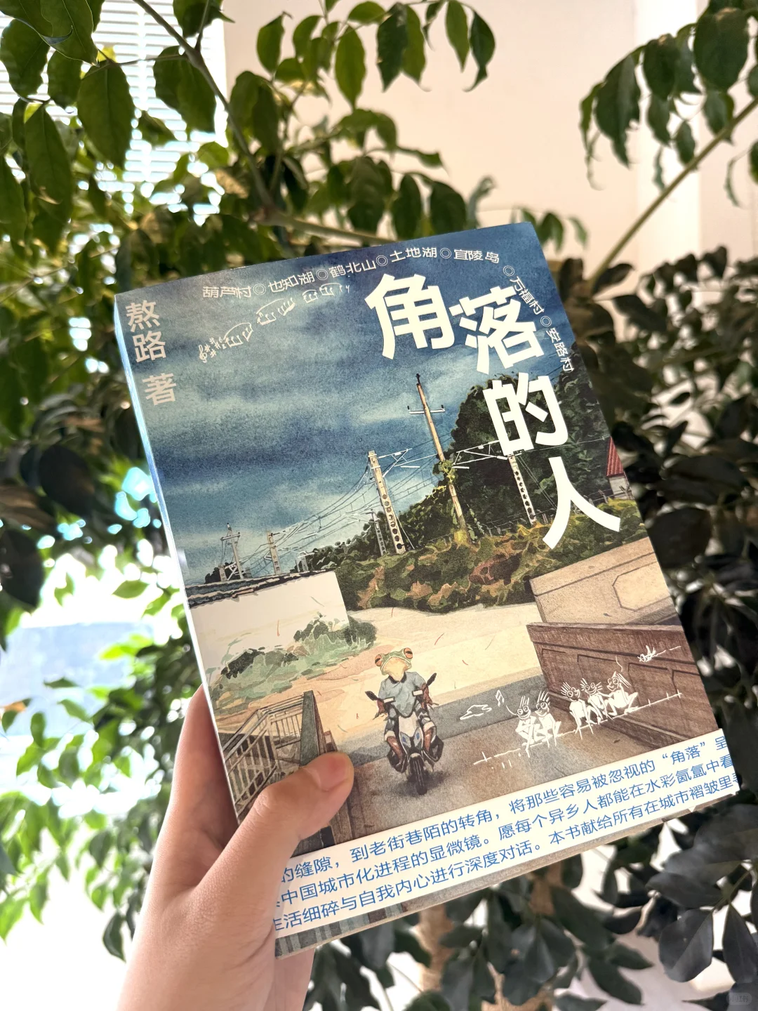 真的可以躲进这本书里过夏天｜新书赠书📘