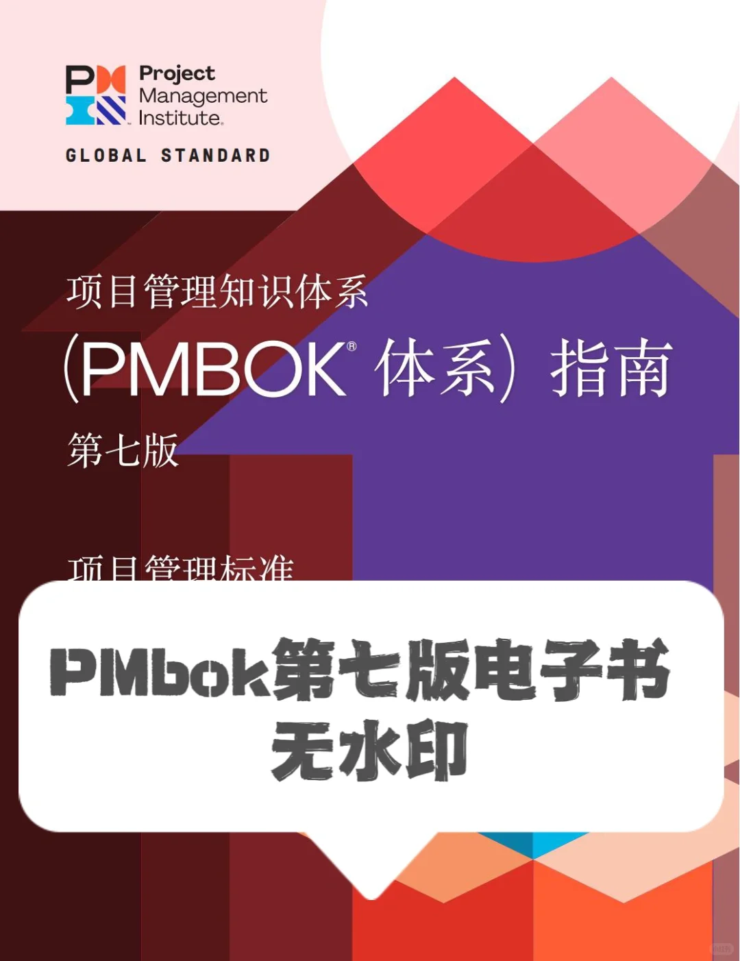 PMBOK 第七版 中文电子书 无水印哦！