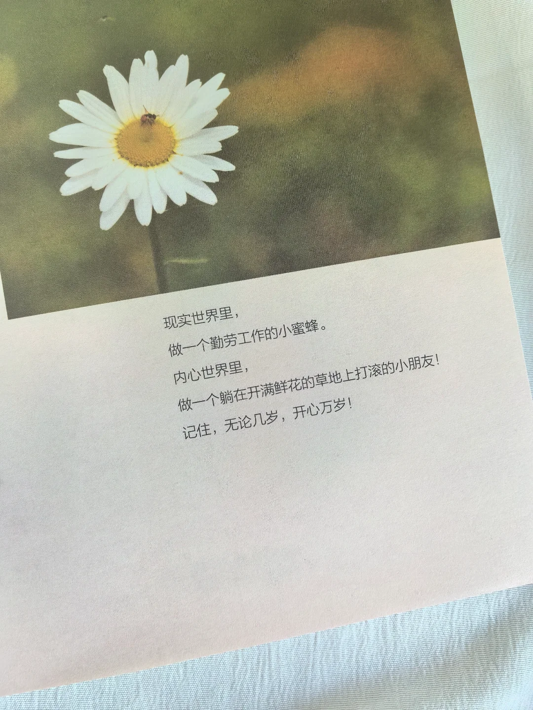 超治愈💕被这本书救赎了千万次❗️