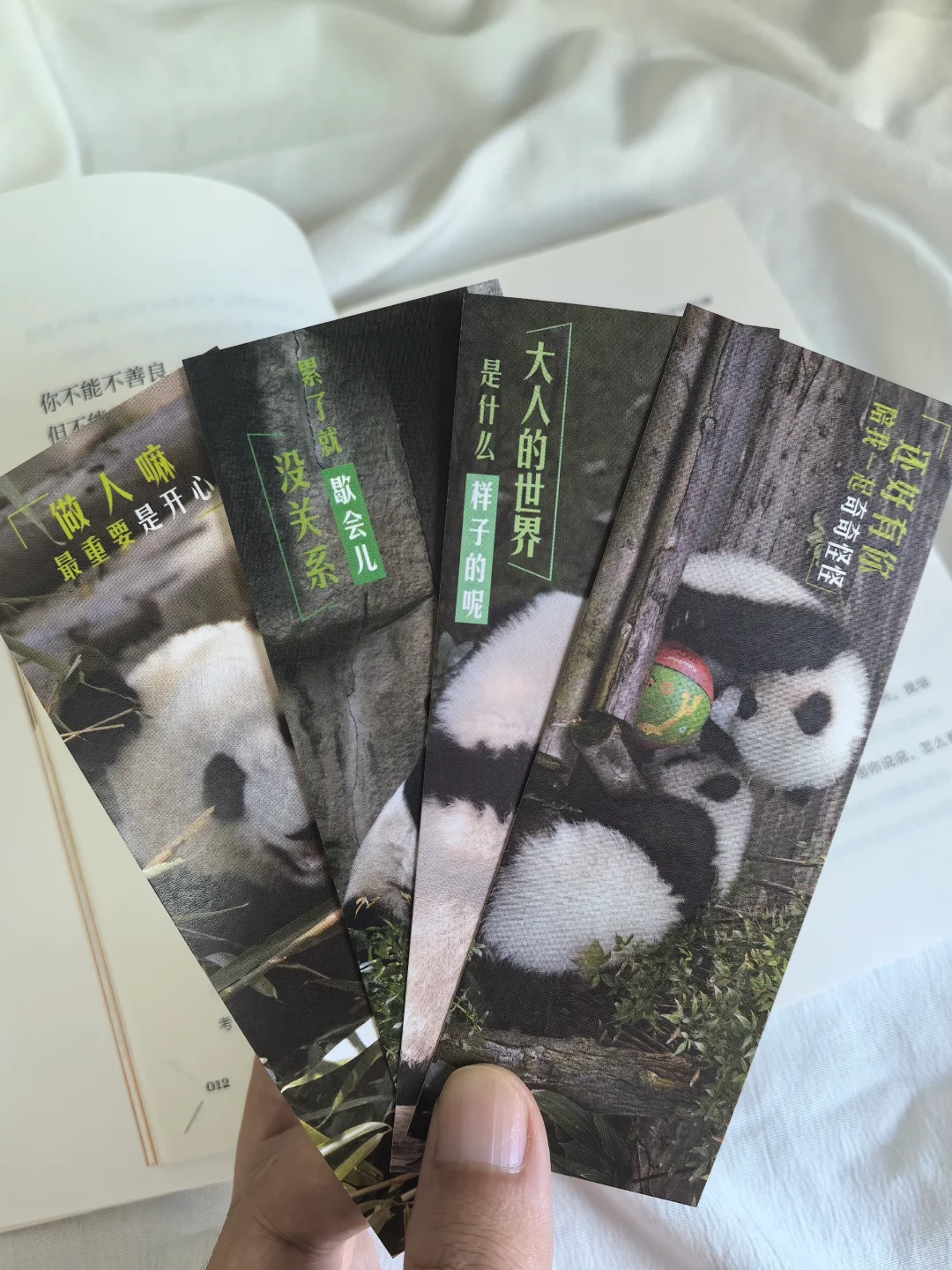超治愈💕被这本书救赎了千万次❗️