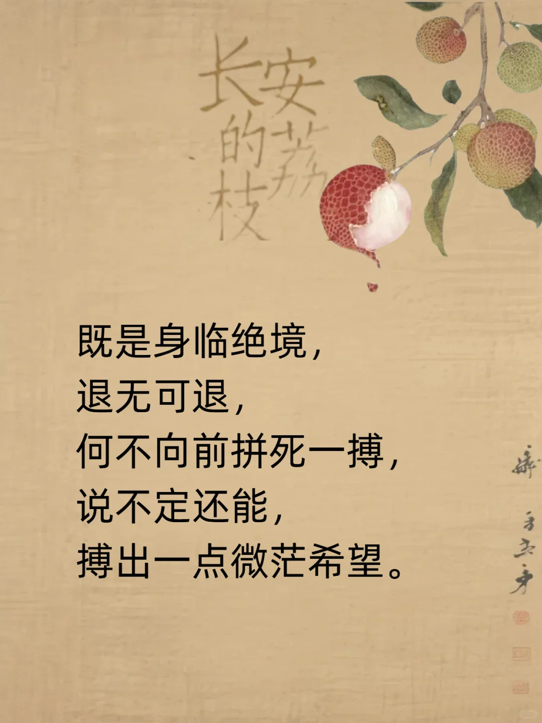《长安的荔枝》那些看起来平淡却封神的句子