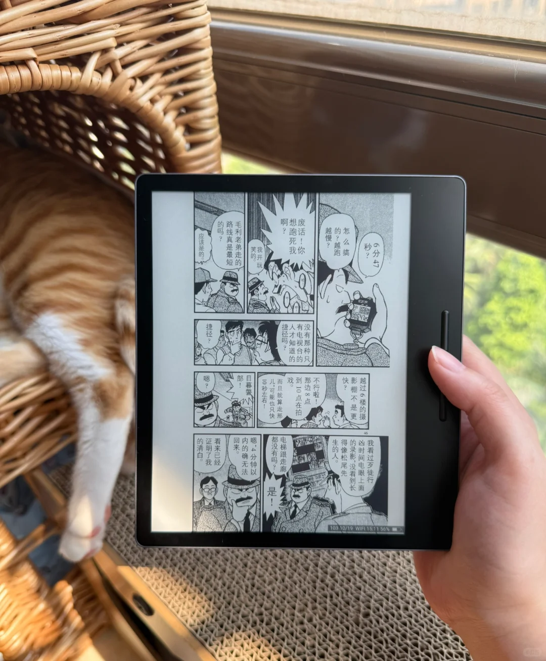 假期就该晒着太阳看看漫画🐈