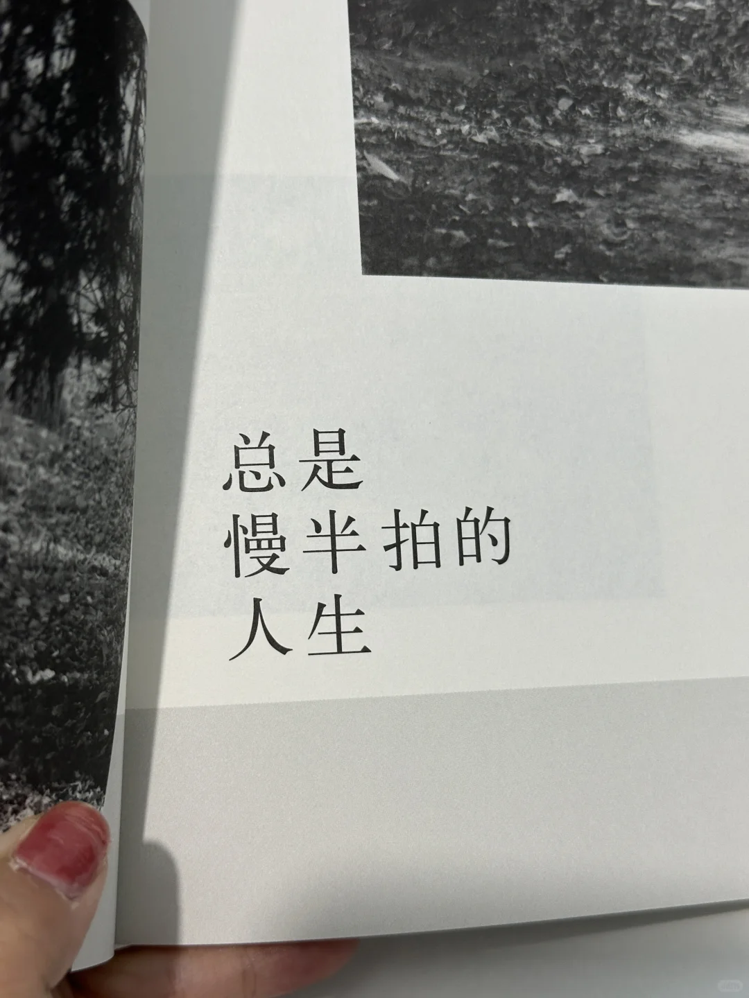 天呐！独木舟的新书真的好好哭！！