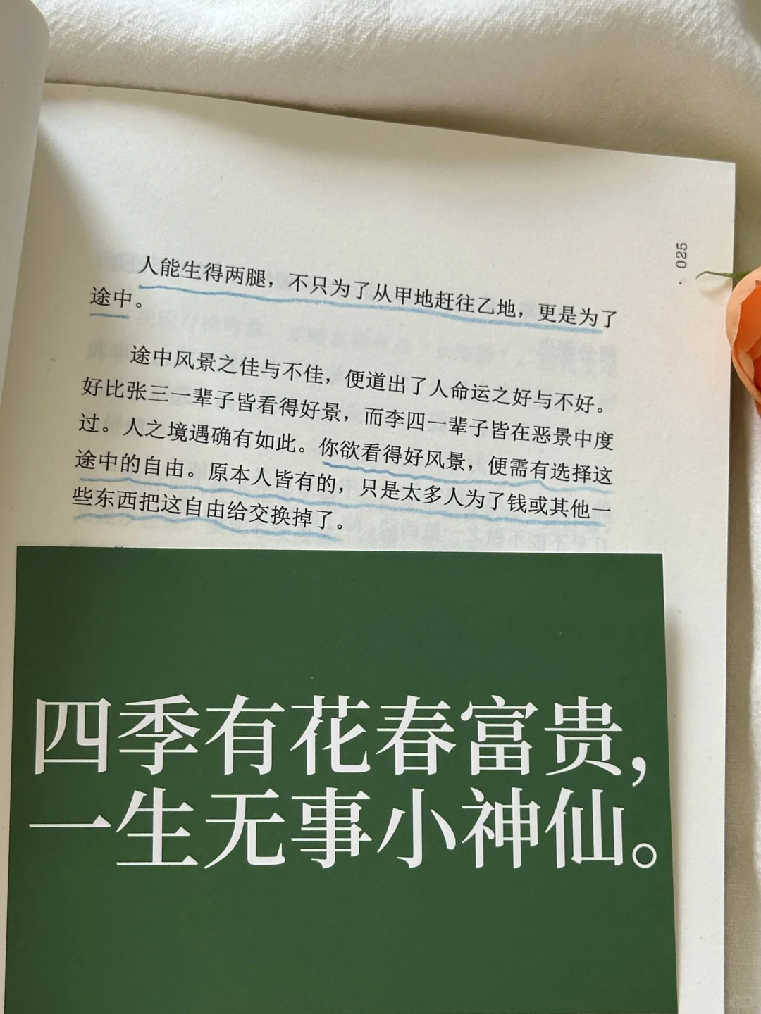 焦虑拧巴的姐妹！！都去翻烂这本书💚