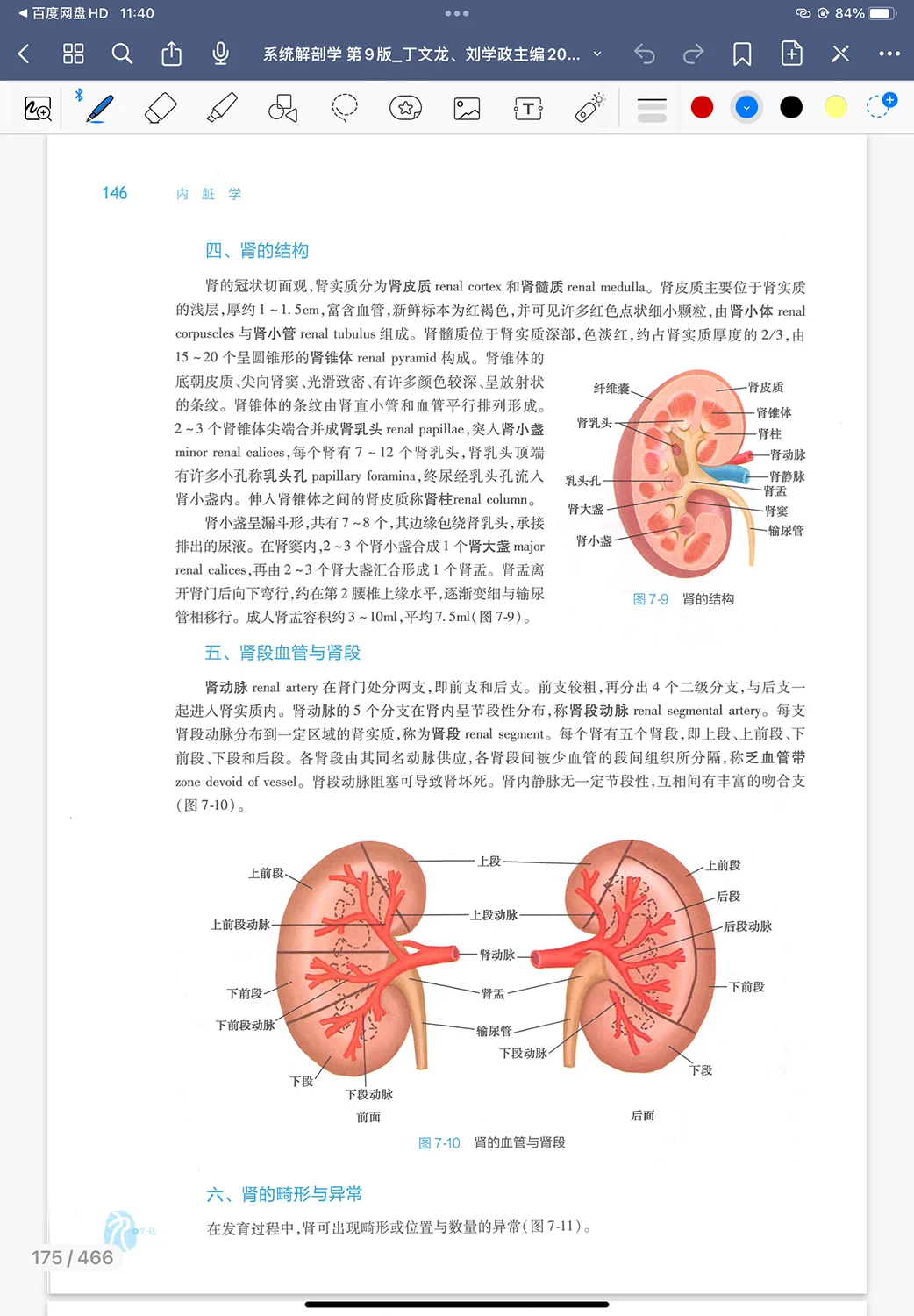 人卫第九版53本医学教材高清pdf 秒发