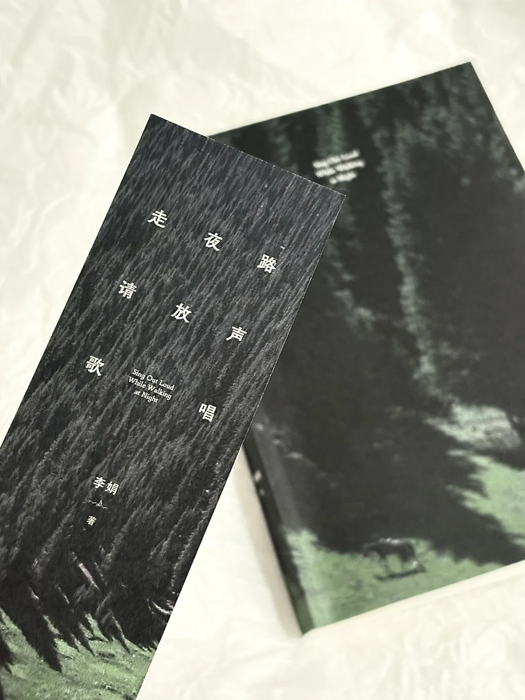 “生活绵绵不断地展开，我如盲人摸象。”