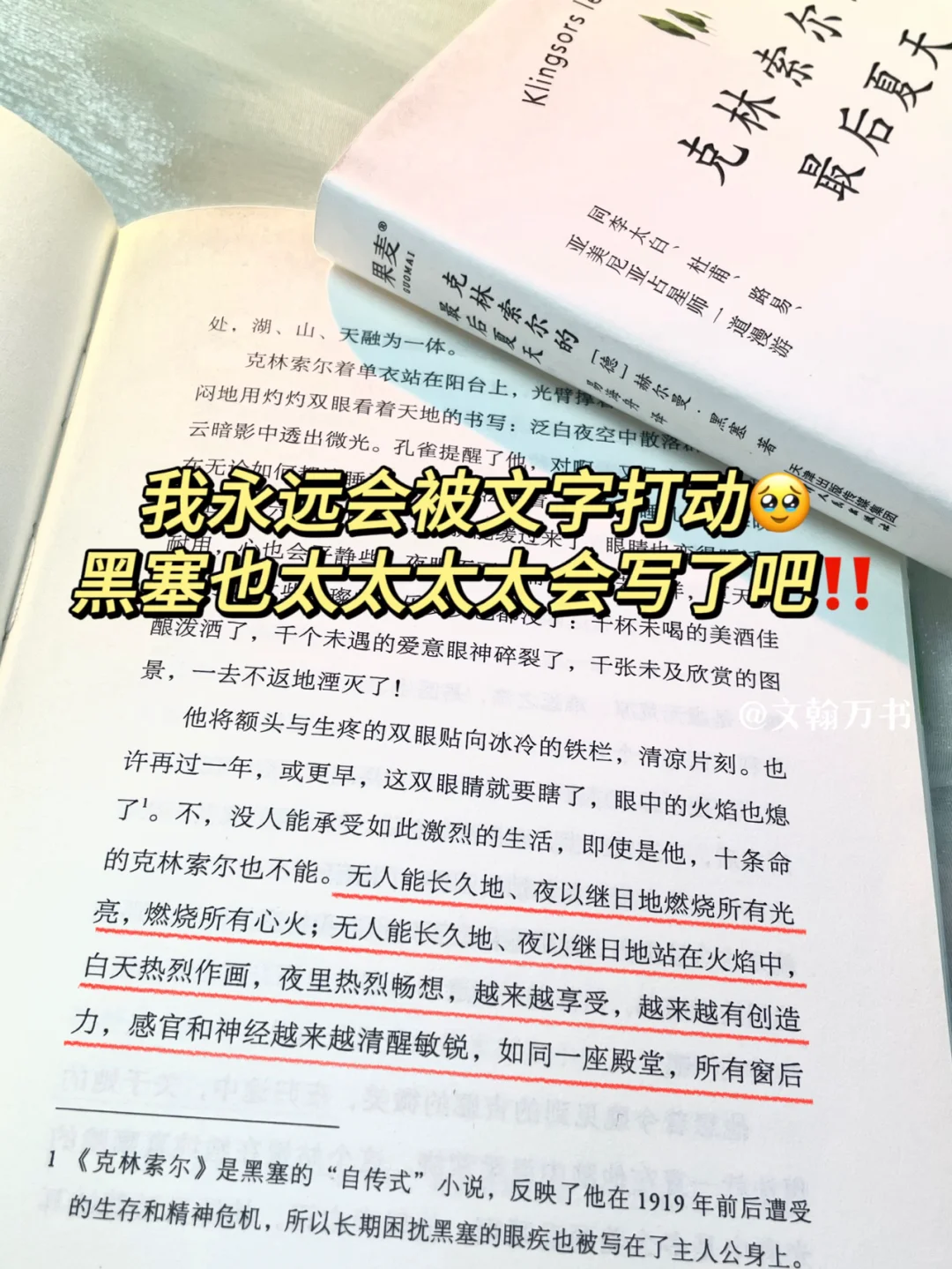 不愧诺奖顶级文笔！黑塞太太太会写浪漫了！