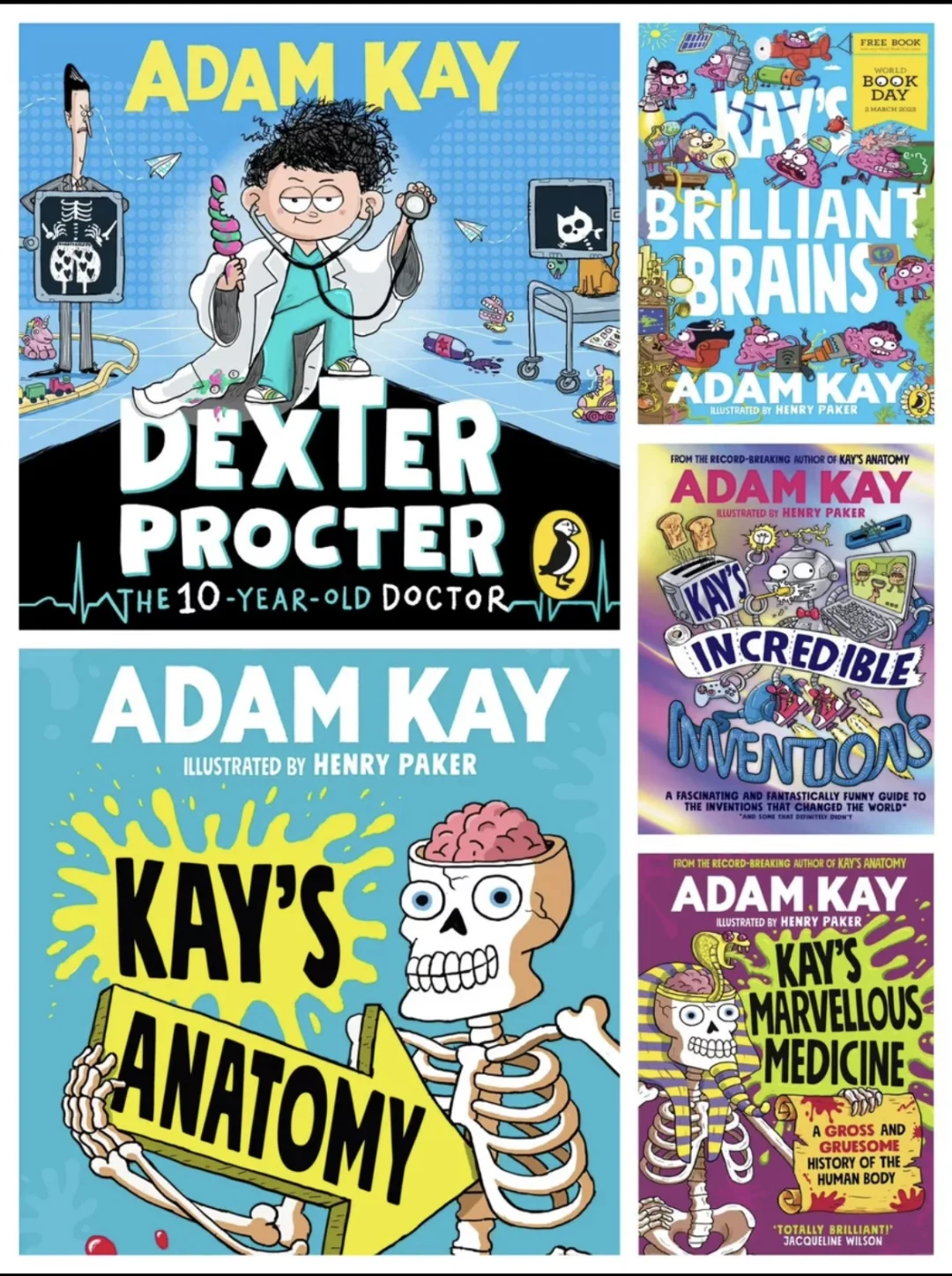 Kay’s Anatomy 5本儿童趣味科普5元