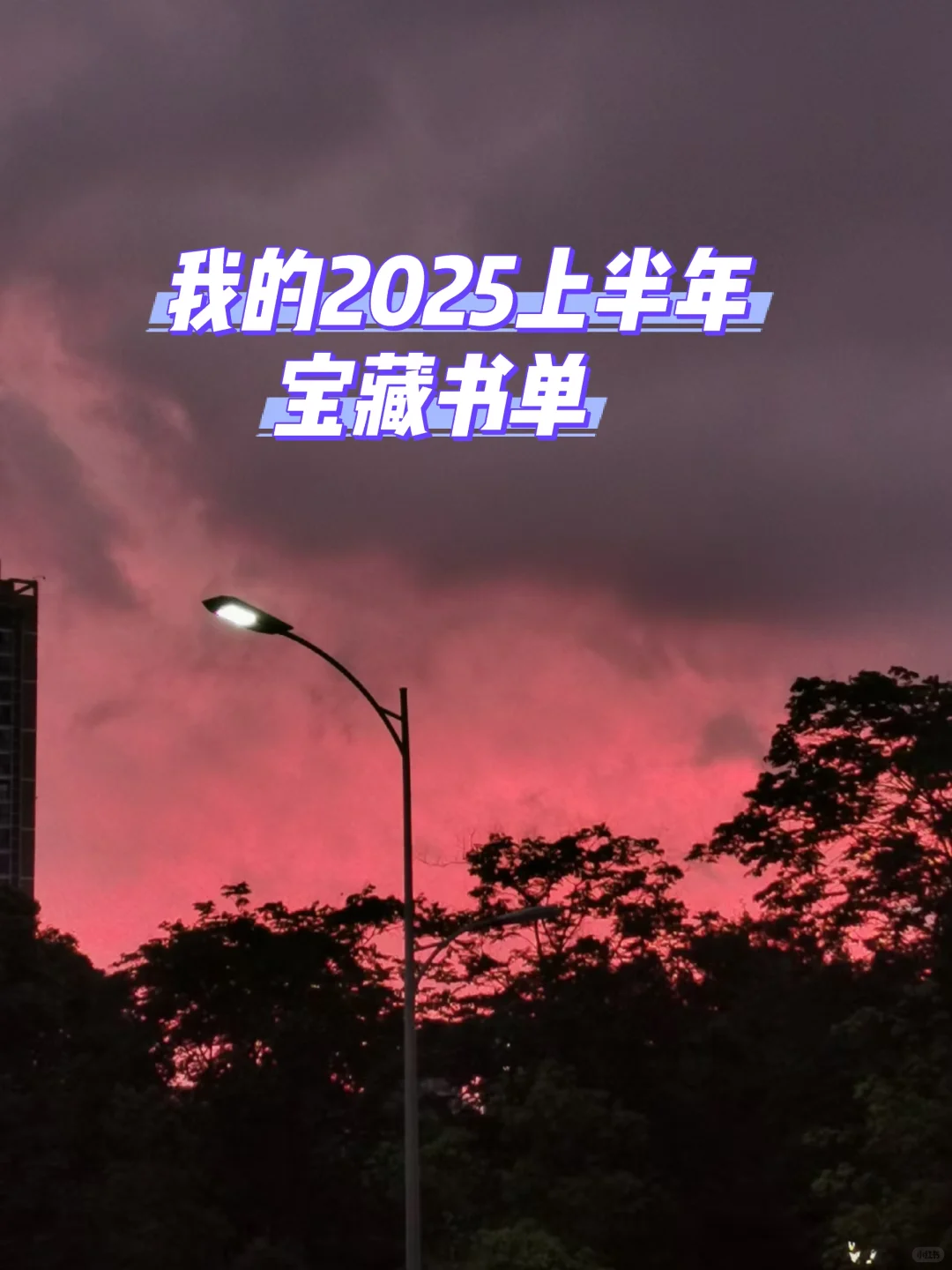 我的2025年上半年宝藏书单，有很多惊喜呀