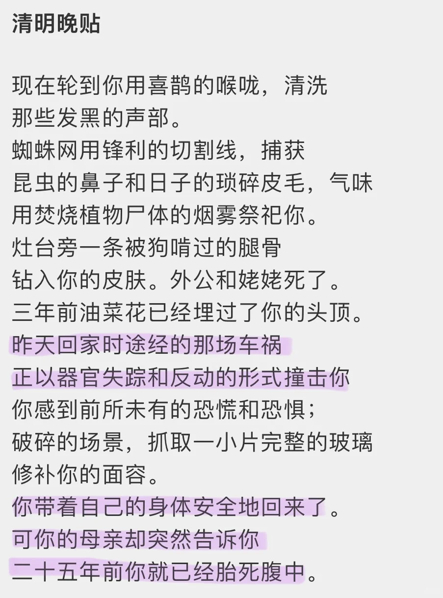 不愧是野草文学奖获奖作品，太过通透