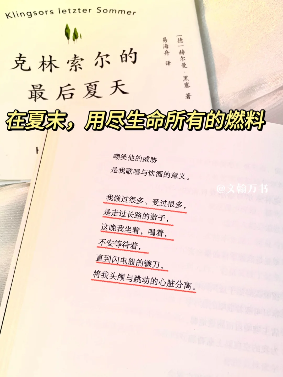 不愧诺奖顶级文笔！黑塞太太太会写浪漫了！