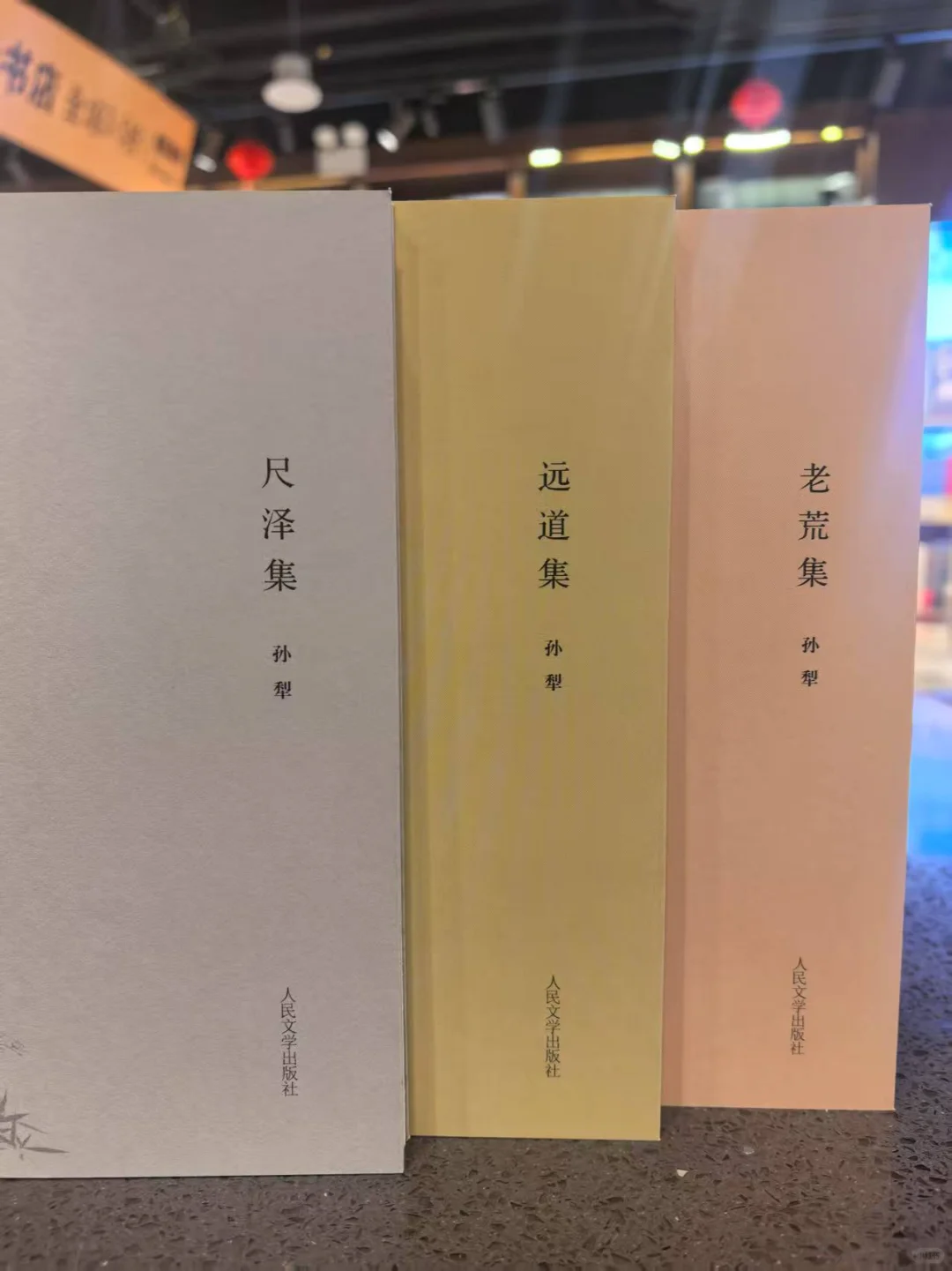 退隐巨匠的绝笔！孙犁十卷本封神之作🔥