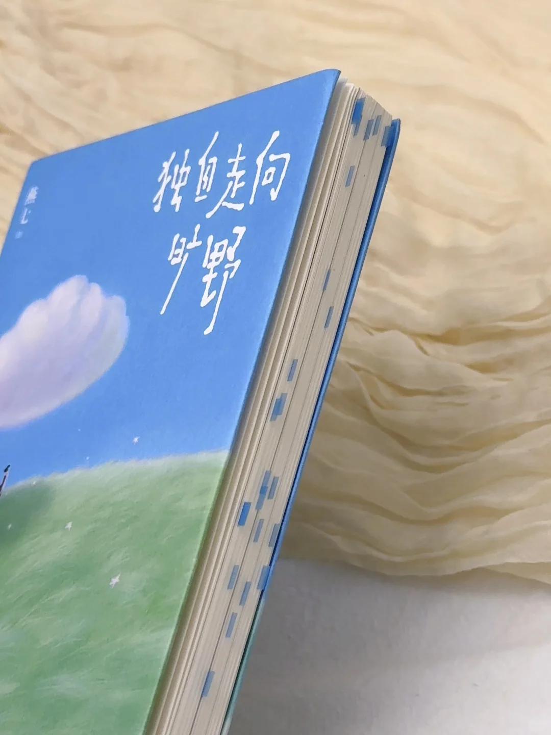 “孤独的人会成为自己的神。”