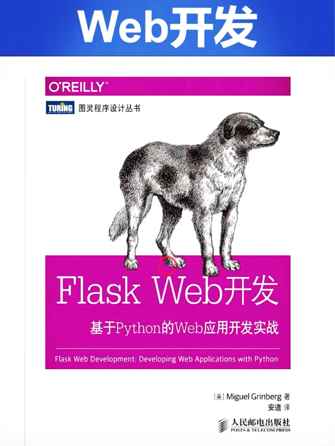 python入门必看书籍！电子版可分享