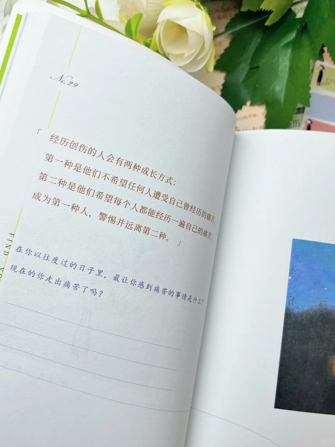 这本超绝的书我不允许还有人没读过，太治愈