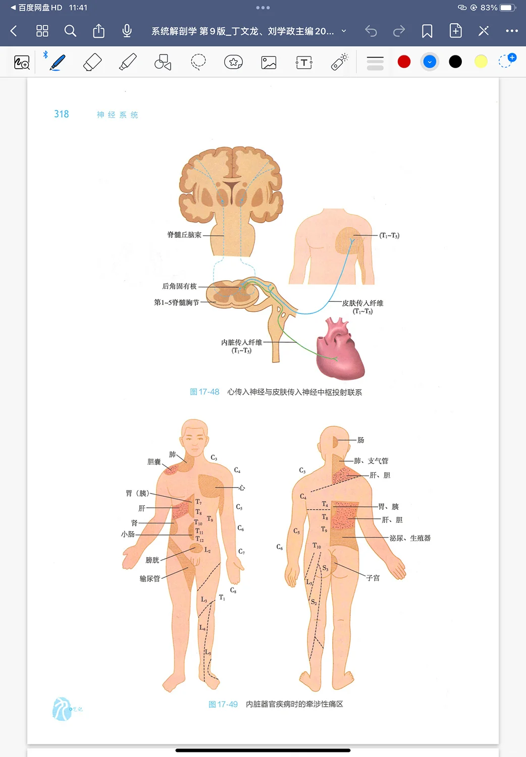 人卫第九版53本医学教材高清pdf 秒发