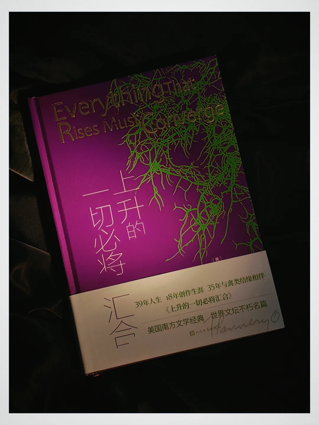 压箱底“凉心”书单！夏日睡前别看...🛏