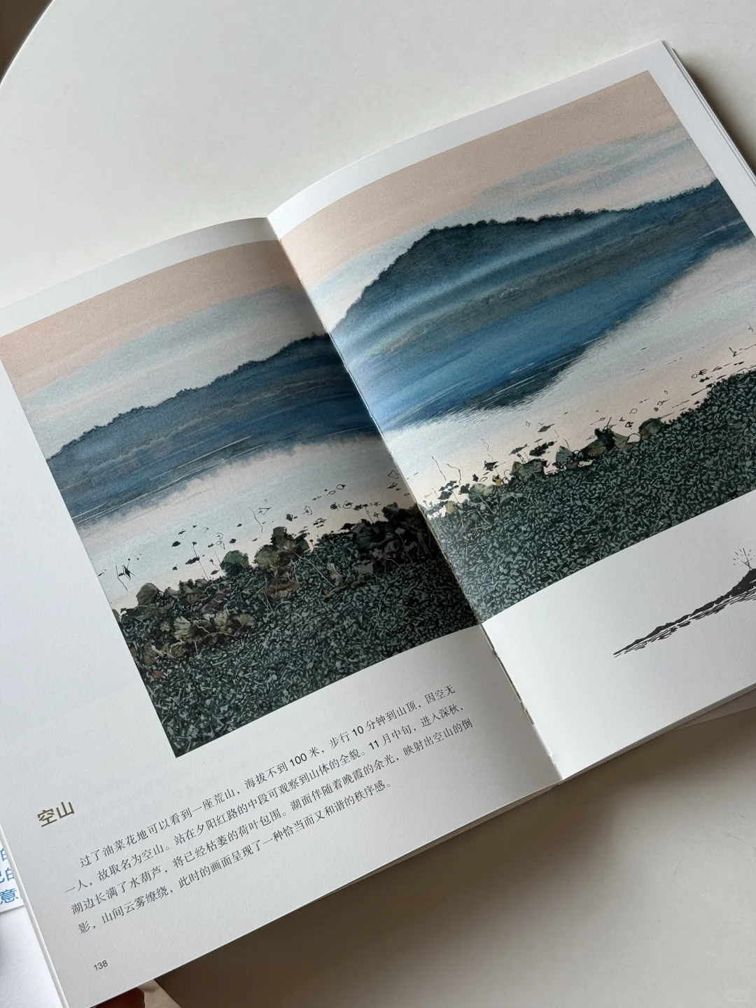 真的可以躲进这本书里过夏天｜新书赠书📘